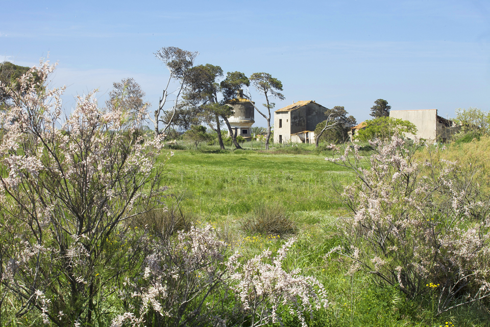 les-orpellieres-web